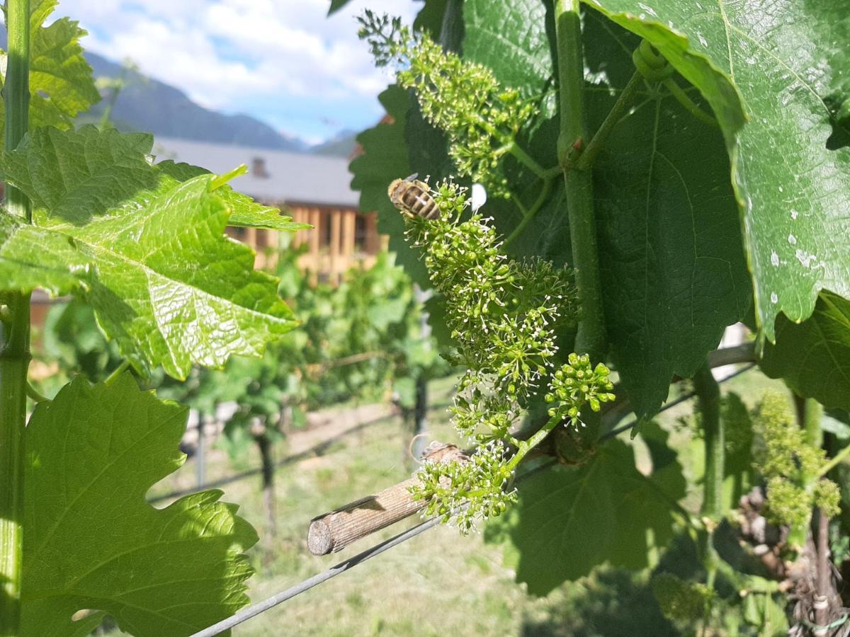 Oelackererhof Bressanone Bagian luar foto